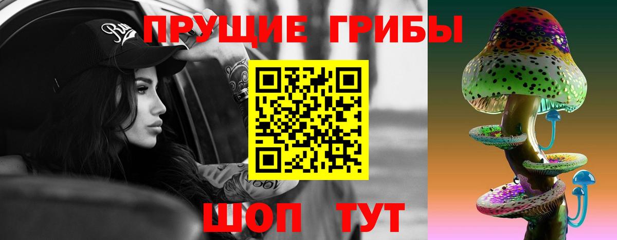 Ефремов  Галлюциногенные грибы прущие грибы  Вход с VPN 